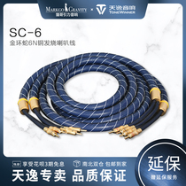 Winner SC-6 gold ring snake fever speaker cable hifi audio amplifier Lotus line speaker cable