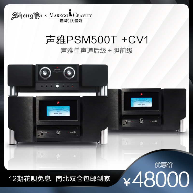 Sound Ya PSM500T gallstone hybrid single track full balance DC power amplifier HIFI Fever power amplifier