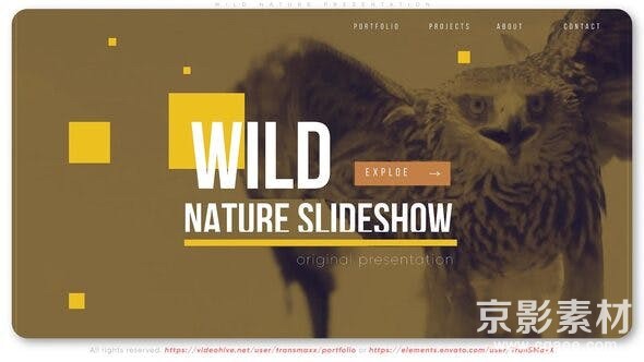 AE模板-自然界动物世界图文展示片头Wild Nature Presentation