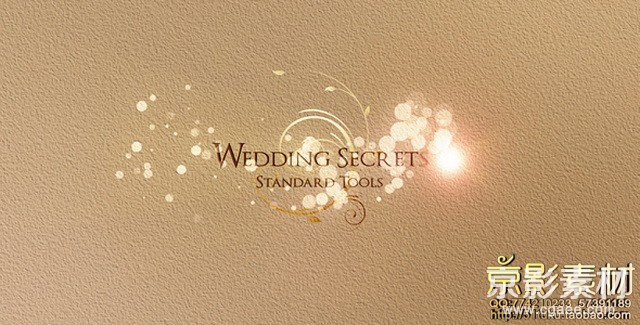 AE模板-浪漫婚礼视频图片预告开场片头Wedding Secrets