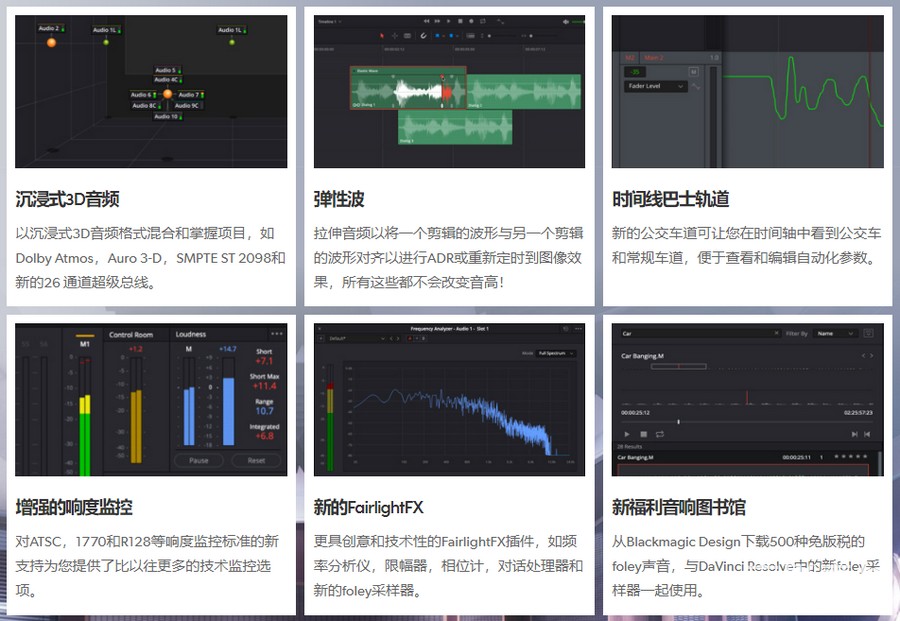 达芬奇调色剪辑软件专业版-DaVinci Resolve Studio 17.0 Win/Mac 中文英文版