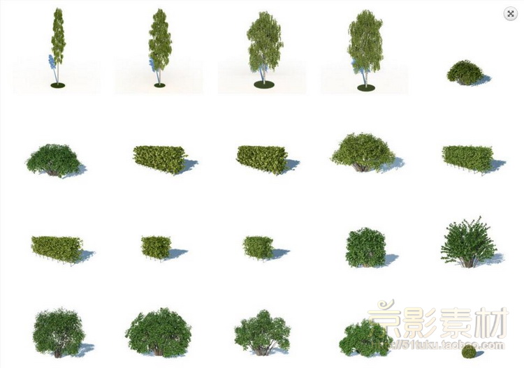 HQ Plants 1 for Cinema4D-180个城市景观树种C4D模型