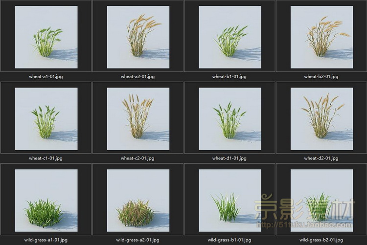 HQ Grass 1 for Cinema4D-226个花草植物C4D模型Cinema4D模型