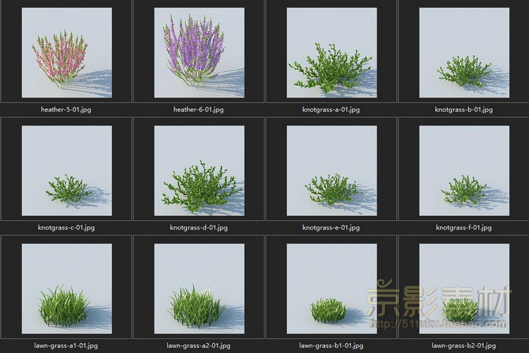 HQ Grass 1 for Cinema4D-226个花草植物C4D模型Cinema4D模型