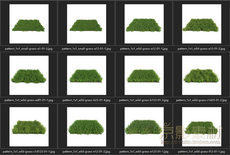 HQ Grass 1 for Cinema4D-226个花草植物C4D模型Cinema4D模型