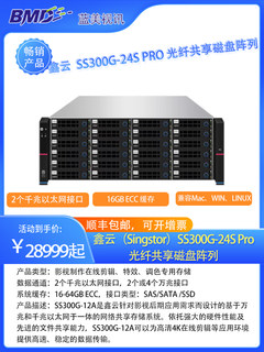 Xinyun 24-disk 4u rack-mounted 10g shared storage
