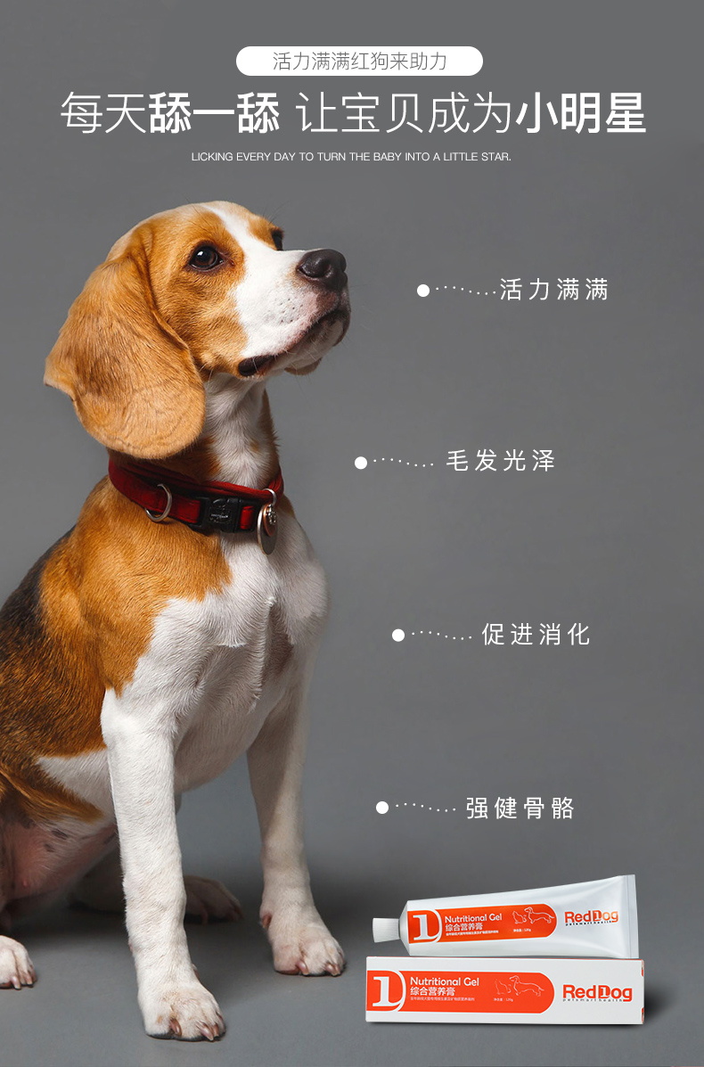 RedDog Red Dog dinh dưỡng kem Cat Dog kem dinh dưỡng 120g Pet dinh dưỡng mèo - Cat / Dog Health bổ sung sữa cho chó con mới sinh