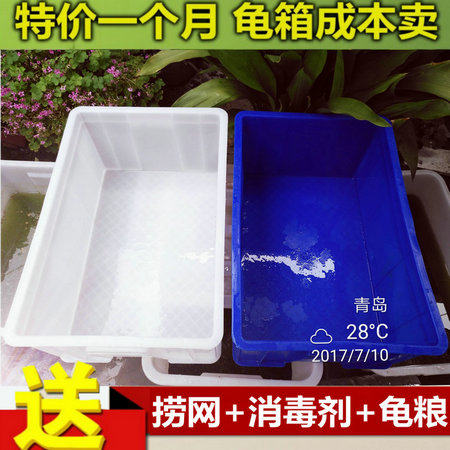 Increase Thickening Mega Chia Fish Widening Turtle Basin Turtle TURTLE BASIL TURTLE GRASS TURTLE BREEDING KING EIGHT-BASIN TURTLE ADD HIGH TURTLE CASE