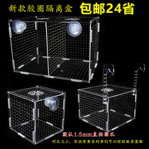 Transparent Large Tank Aquarium Breeding Box Bait Box Incubators Incubators Hatchbox Sea Jar Sea Water Isolation Box box