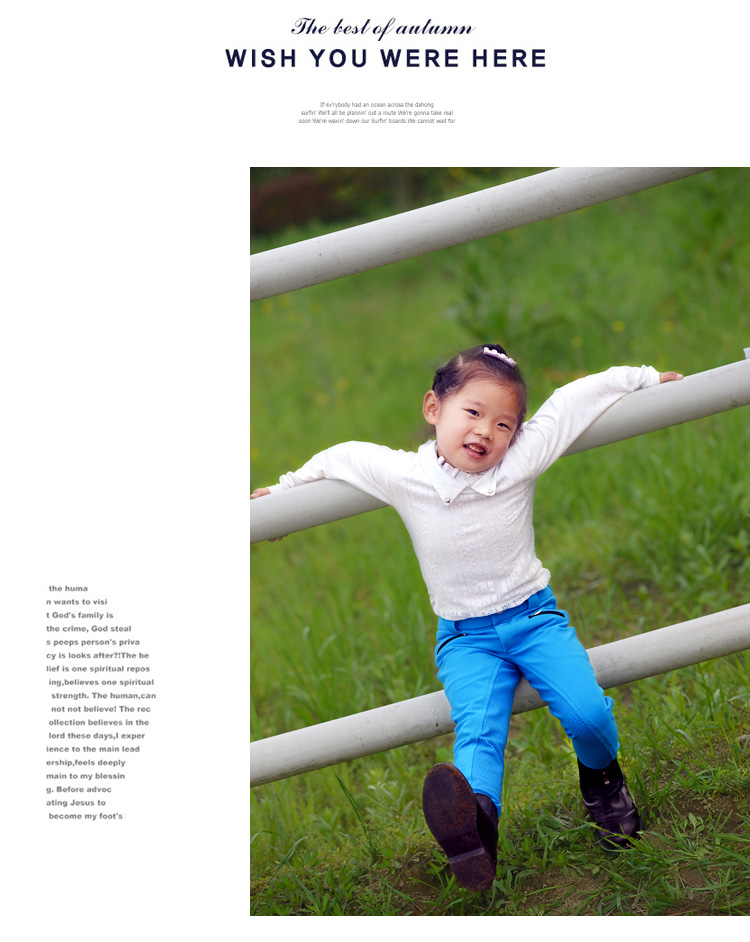 Article équitation - Ref 1387595 Image 11