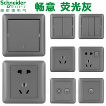Schneider brisk fluorescent grey switch socket open two-open three-open five-hole air conditioning TV computer socket