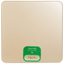 Schneidertianlang distribution box 8-bit loop strong electric box concealed gold door wiring box switch box