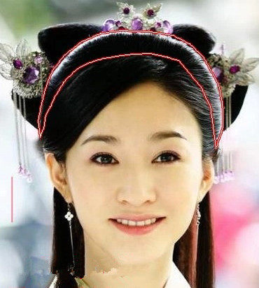 Extension cheveux - Chignon - Ref 236054 Image 9