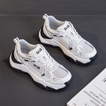 Small ckerwin Korean version of the super fire platform running xie leather daddy xie breathable mesh surface Sports Leisure xie