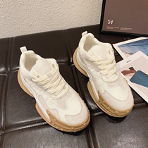 Small ckerwin European Fashion Net small white frosted leather thick bottom dad casual breathable