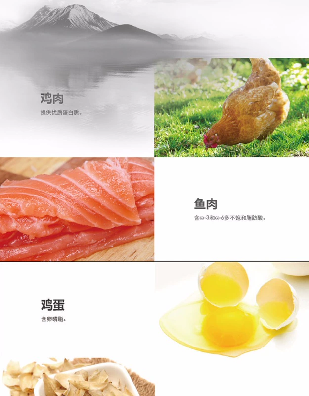 Thức ăn cho chó làm đẹp lông hơn thức ăn cho chó Reggie Thức ăn cho chó Teddy chó trưởng thành Thức ăn cho chó lông vàng VIP hơn thức ăn cho chó trưởng thành thức ăn cho chó zenith