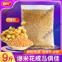 Commercial popcorn special corn grain homemade spherical round popcorn with small dry bud rice grain raw material 9 catty packaging