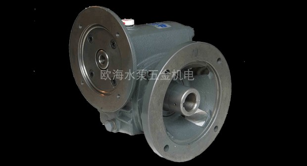 Big speed reducer DNM DMM-60-70 reducer CHENTA a big gear reducer