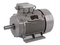 Shanghai Dedong motor YE2 0 75KW-110KW three-phase asynchronous motor 380V