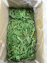 Rabbit Xiansen Selected Dandelion grass to fire and heat health forage Rabbit snack Chinchilla Guinea pig hay 500g