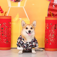 Wangfu Dog тибетский младший брат