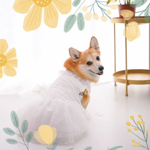 婉蔓 Corgi Pet свадебное платье Corgi Puff Get Wedding Dog Dog Dog Dog милая юбка