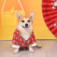 Caichang Dog Red Brother