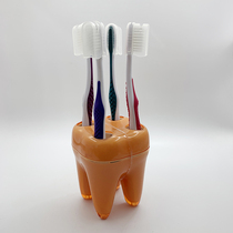 South Korea imported double soft toothbrush 4 toothbrush holder shelf drain hole storage