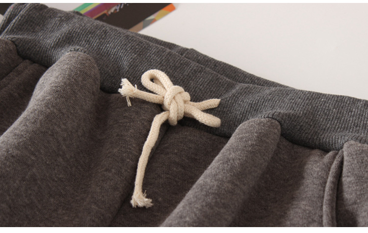Đặc biệt hàng ngày quần mùa đông lỏng lẻo ấm dày cộng với chân nhung quần cotton quần da cừu kích thước lớn của phụ nữ cardigan nữ