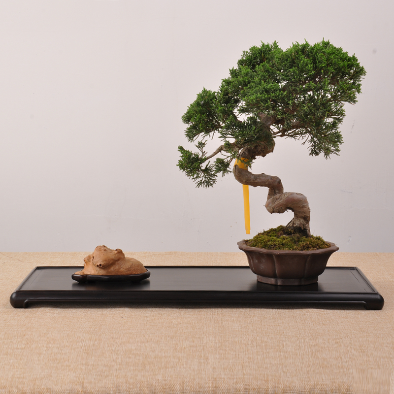 Redwood Solid Wood Walwood Black Honolu Branch Ming rectangular tea set basin base of the Chinastone Fittings