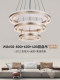 Living Room Circle Chandelier New Light Luxury Post-Modern Dining Room Bedroom Lamp Simple Minimalist Villa Hollow Hall Main Light