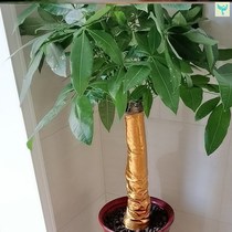 Bag Iron Tree Gold Cloth Decoration Cloth Printed Wedding gold and silver Silver Piping Winding the Disc Wrapping paper Pineapple Print