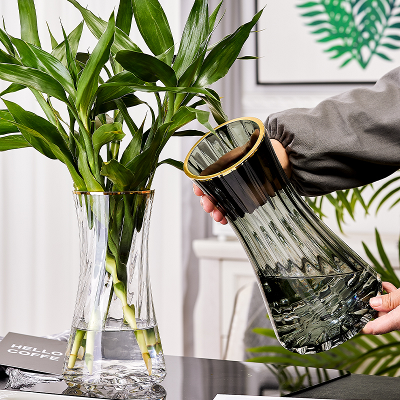 Light luxury gold simple glass vase Transparent hydroponic flowers Lily rich Bamboo living room Nordic flower arrangement ornaments