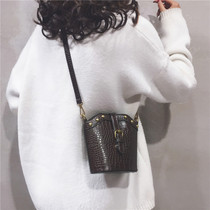 French niche bag high-end sense 2021 new light luxury brand niche shoulder messenger bucket bag female summer all-match