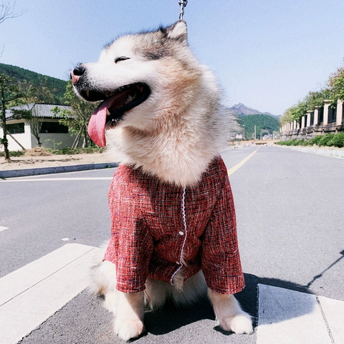 Кружева шерстяная куртка домашние животные весна и осенняя юбка кошки и собачья одежда Тедди Джинмао Ала