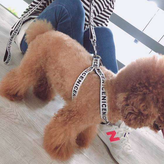 Pet trendy brand leash small dog Teddy Bichon Pomeranian dog chain retractable collar chest back