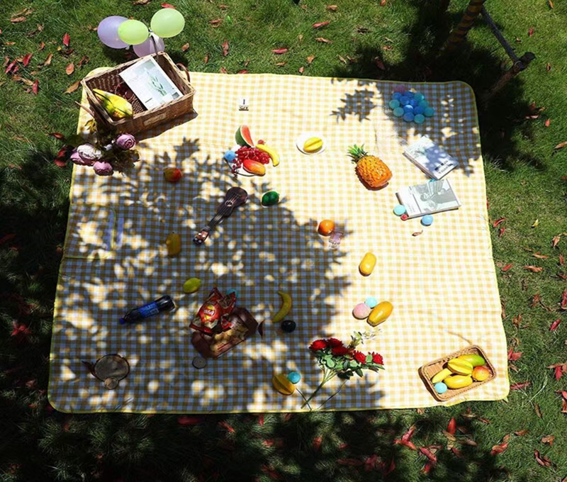 Solid Outdoor Spring Swim Damp-proof Countryside Camping Grass Mat field Camping Beach Mat picnic mat Large size S42