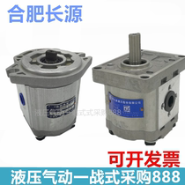 Hefei Changyuan Hydraulic Pump CBW-F308-ALP AFPL AFH CFH ALH CFP CLP CLH L