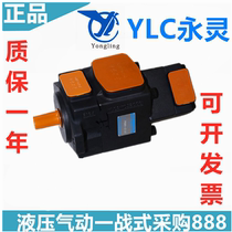 Yongling YLC vane pump PVL3-116-P-1R-D-10 PV2R23-47 94-F-P hydraulic oil pump
