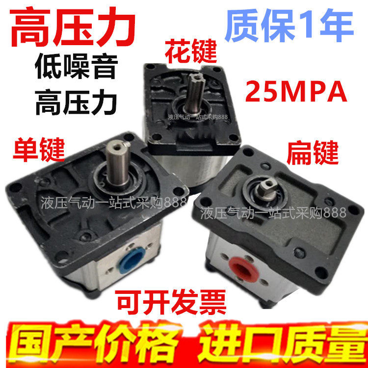 SR high-pressure gear pump CBN CBT - G304 G306 G310 G314 G316 G320 G325 hei gai