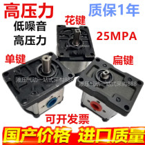 SR High pressure gear pump CBN CBT-G304 G306 G310 G314 G316 G320 G325 Black cover