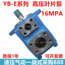 Vane pump YB1E-100 YB-E160 YB-E200 YB-E125 YB-E100 YB-E80 YB-E63