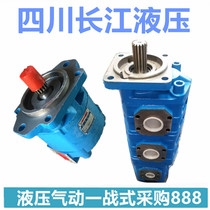 Sichuan Changjiang gear pump G30L-8D32C2-B12-A31L G2020C-6D1077T-12B30L
