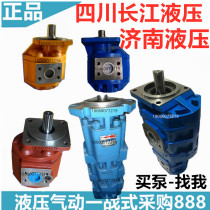 Sichuan Changjiang hydraulic 3 the pump CBY3100 3063 2040-2FR-T 3100 2040 2040-A2FR
