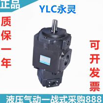 Double blade PV2R12 13 23 33 14 24-8-19F L-1-RA B E F G H high pressure oil pump