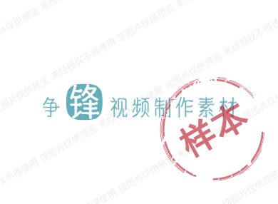 争锋视频制作素材的LOGO