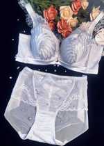 Black Swan Bra Hood Closeted Breast adjustment Type of underwear correction Outer expansion sagging No steel ring bra 6006