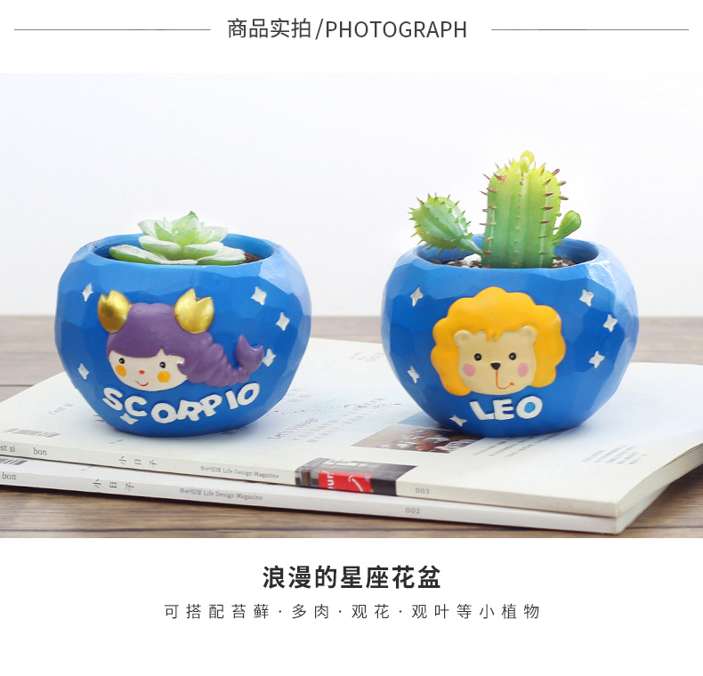Mục vụ Sáng tạo Mười hai Sao Chòm sao Mọng nước Hoa nhỏ Động vật nhỏ Cảnh trong chậu Trang trí Hoa trang trí - Trang trí nội thất tự trang trí phòng ngủ handmade