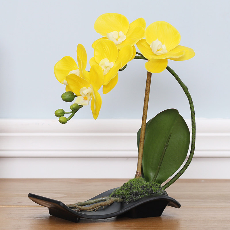 �����Լװ�β����ڼ�REC1B0