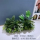[Beauty Banana Turtle Leaves] Жемчужный хлопок 1m*28 см.